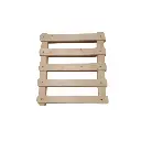 modulo natural
