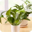 1714640693245-d7c5b19b0fe040bfbf74c19812547714-goods.webp