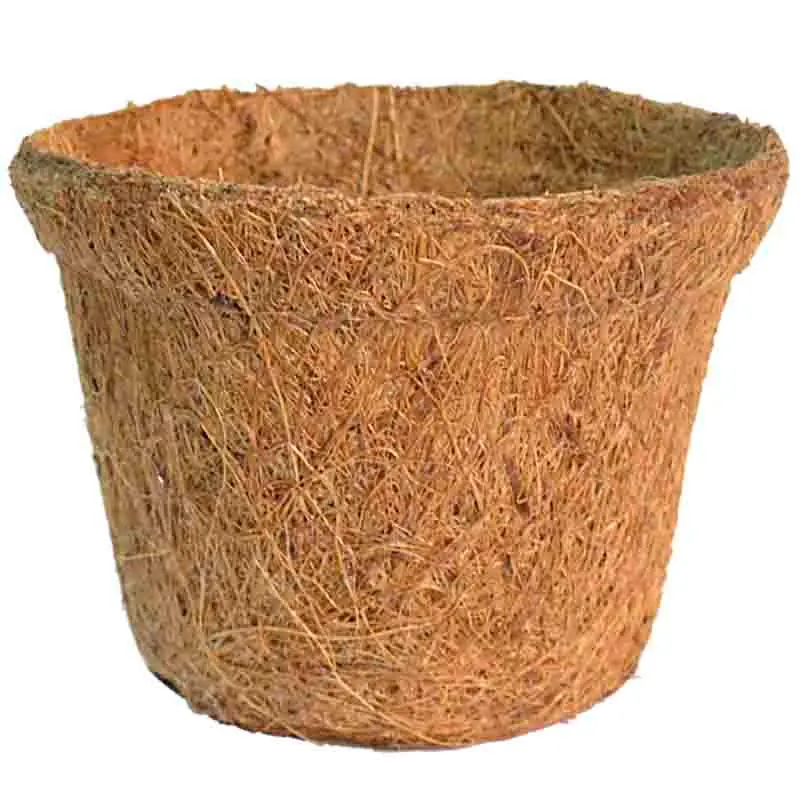 Maceta de coco redonda